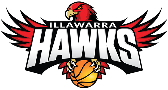 Illawarra Hawks 2015-Pres Primary Logo iron on transfers for T-shirts